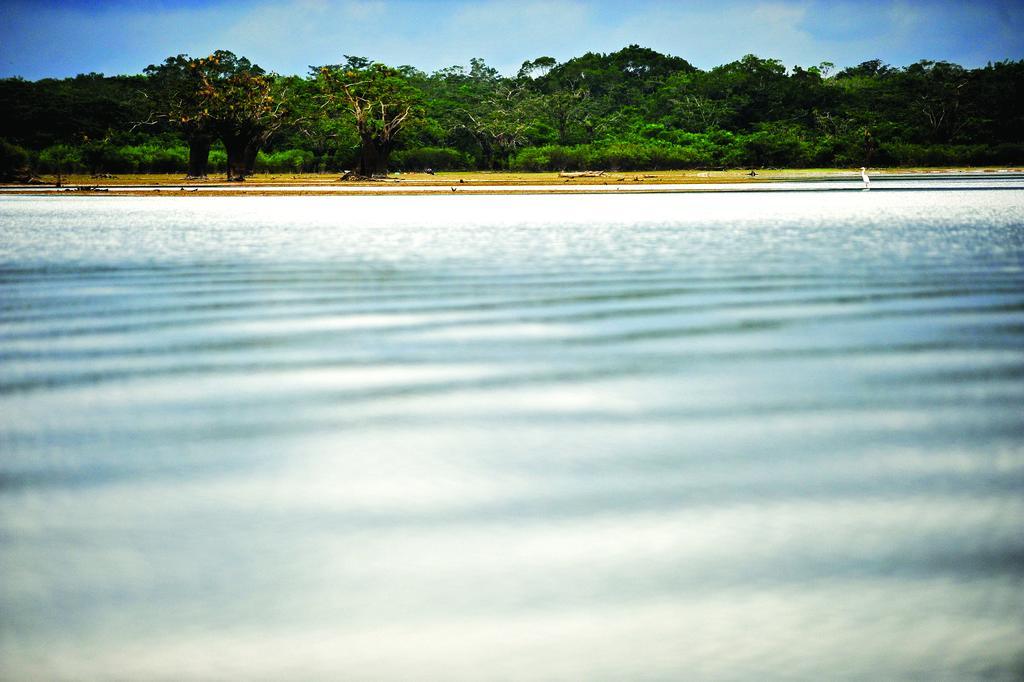 Jamu Lodge Puerto Montufar Екстериор снимка